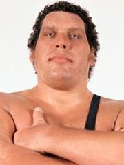 Tampa-area wrestlers share their Andre the Giant stories ahead of HBO documentary