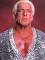 Wooo!  Ric Flair Promotes Tennessee Lottery