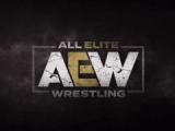 AEW warned against having Nyla Rose wrestle in the state of Oklahoma again